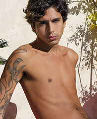 Icarus