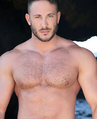 Alex Palmieri