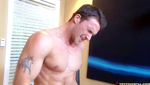 Hard Lunch Break Blow Job Turns Wild – Trystan Bulls Steaming Clip – 18+