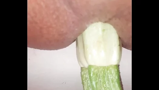 Stuffed Tight: Zucchini Gets Pounded in Wild Solo Gay Ass Play – XXX Adventures