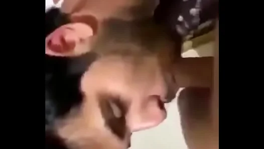 Seductive Slavic Stallion Shows Off Blowjob Skills Busty Jugs – NaughtyLads 18+