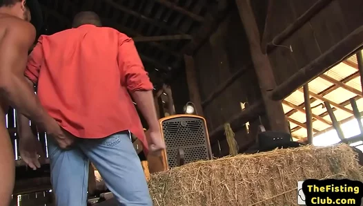 Huge Stallion Gags Fist-Fucks Hung Farmboy — Raw Muscle Sex 18+