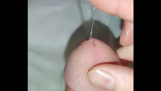 Hard Throbbing Load pushed to the Brink — Screaming Orgasm Fills Sheets
