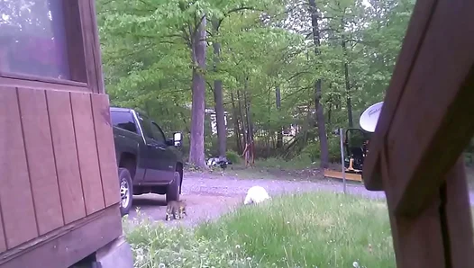 Trash Day Heat: Exposed Outdoor Hookup Turns Wild – 18+
