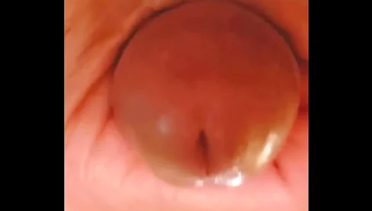 Sensual Solo Blowjob Mastery: Intense Cockhead Worship by Horny Amateurs – 18+
