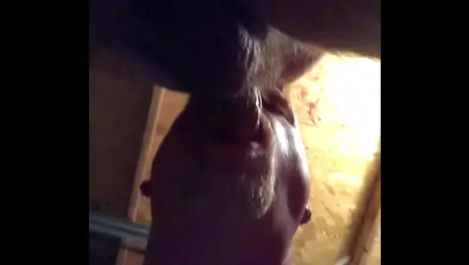 Bareback Heat: Amateurs Fuck Wild in Secret Garage Session – XXXGayTape