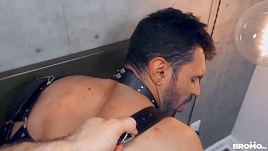 Hairy Stud Ian Greene Gets Pounded Hard by Dominant Top – BromoUSA 18+