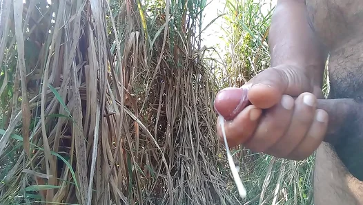 Hot Handjob in the Sun: Sugarcane Field Blowjob Ends With Creamy Load – GayPornHub 18+