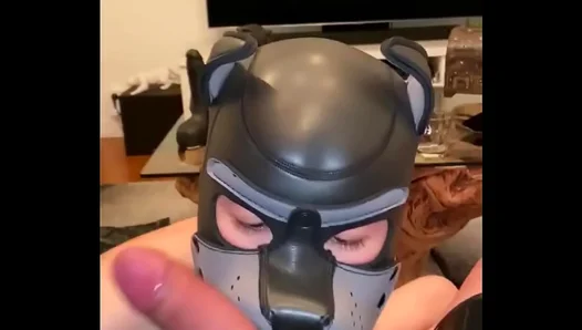 Latex Pup Begs for Deep Ball Worship – Raw Puppy Play Action – AmateurGayFun