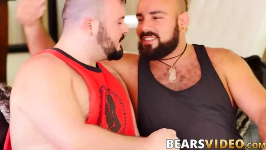 Chubby Bear Rim Job Before Raw Fuck Fest With Hung Stud – HardcoreGay Bliss