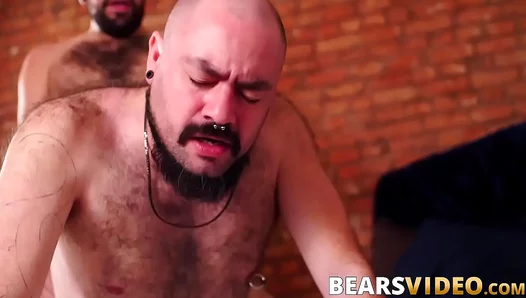 Tony Rivers Dominates Bear Silien in Rough, Steamy Anal Action – Hot Gay Porn