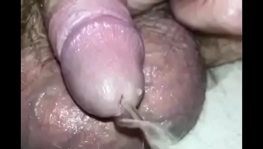 Tiny Dick, Big Thirst: Raw Piss Play Action – CloseUpGayAction 18+