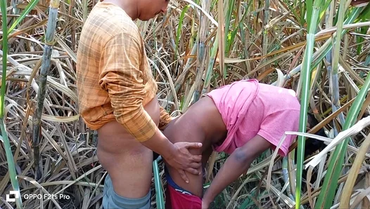 Three Hungry Farmhands Share One Sexy Cowgirl Outdoors – NaughtyVillageX 18+