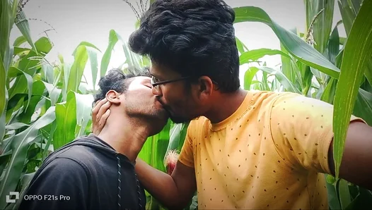 Hot Steam Between the Stalks: Two Cocks Collide in Passionate Field Ride – GayPornX 18+