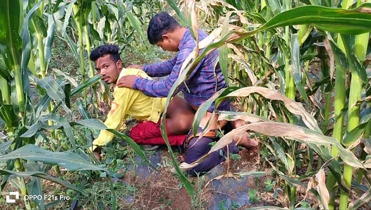 Sun-Drenched Lust: Two Hardworking Guys Fuel Their Fire in Golden Fields – IndianGayHeat