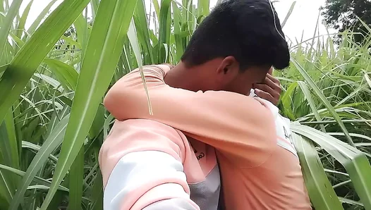 Passion Ignites in the Canefields: Steamy Gay Tryst Under the Sun – 18+