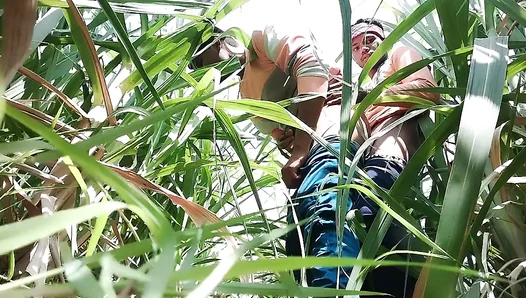 Hidden Lust in the Wheatfields: Steamy Desi Boys Secret Encounter – GayHindiHeat 18+