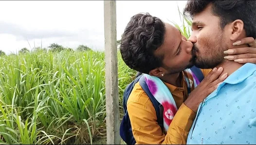 Sun-Drenched Desire: Hot Gay Encounter Between Towering Sugarcane Rows – IndiaHeat 18+