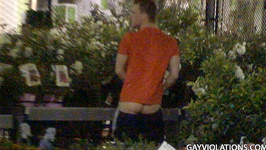 Steamy Garden Tryst: Hot Twink Love Under the Sun – GayRoom