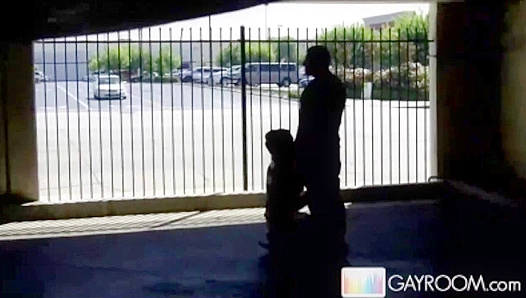 Steamy Encounter: Two Men Share Passionate Blowjobs in Dark Parking Garage – GayXXX