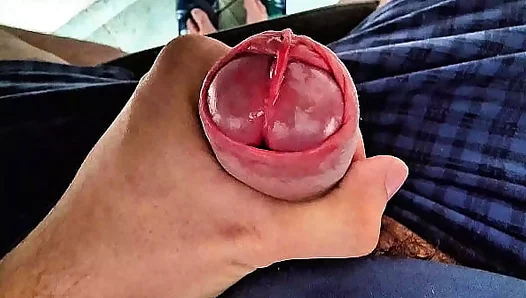 Precum Drops Edging Thrills: Sensual Cockhead Tease – GayXXX 18+