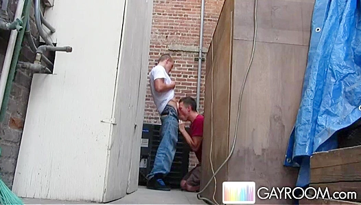 Alex Andrews Devours Thick Cock with Expert Skill Raw Passion – Steamy Gay Blowjob
