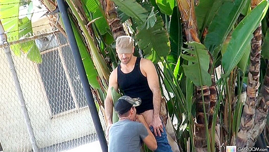 Tristan Matthews Takes Control with Mind-Blowing Public BJ – Real POV Heat at GayRoom